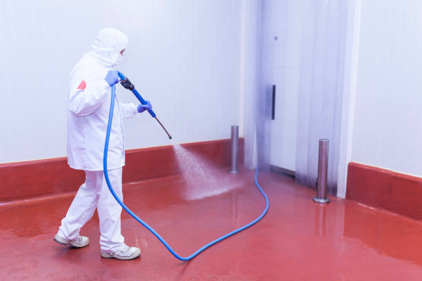 Professional Pressure Washing Services in Seadrift, TX